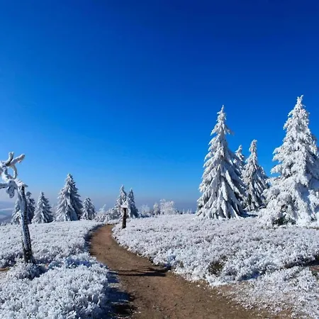 In Neuastenberg Near The Area Winterberg