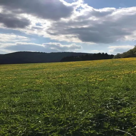 In Neuastenberg Near The Area *