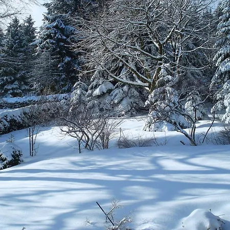 In Neuastenberg Near The Area